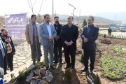 عکس| آئین افتتاح و بازدید از پروژه های عمرانی درحال اجرا سطح روستاهای بخش مرکزی تهران عکس| آئین افتتاح و بازدید از پروژه های عمرانی درحال اجرا سطح روستاهای بخش مرکزی تهران